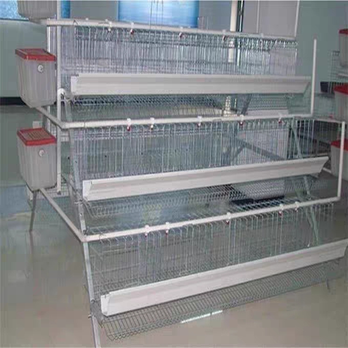 Semi Automatic Poultry Farm Used Lay Chicken Cage with Hot Dipped Galvanized A Type 4 Tiers Battery Cage for 5000 / 10000 Birds