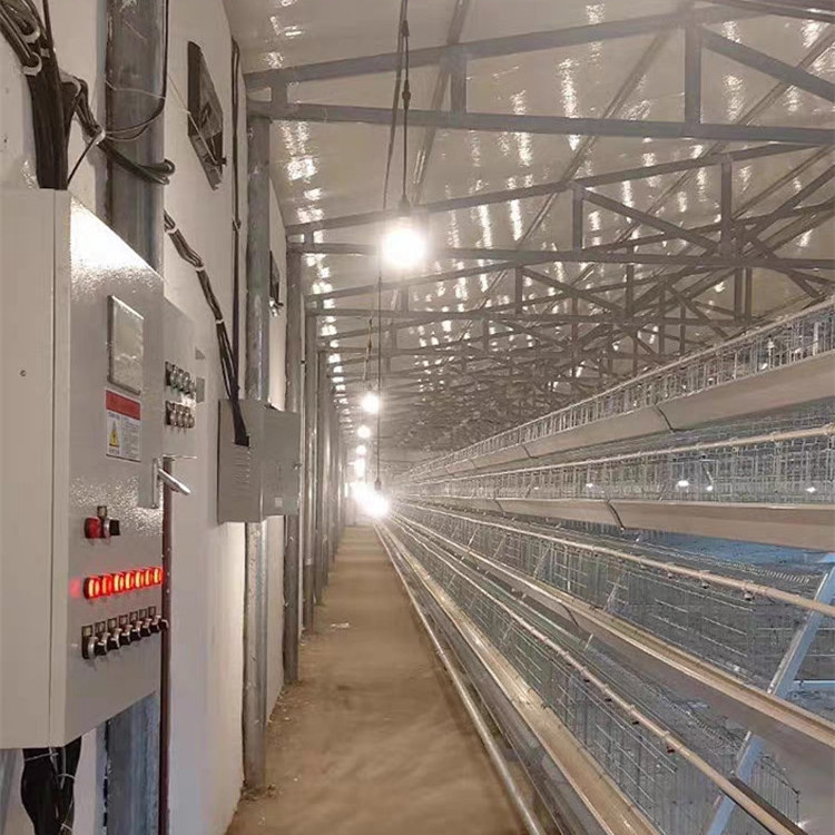 Semi Automatic Poultry Farm Used Lay Chicken Cage with Hot Dipped Galvanized A Type 4 Tiers Battery Cage for 5000 / 10000 Birds