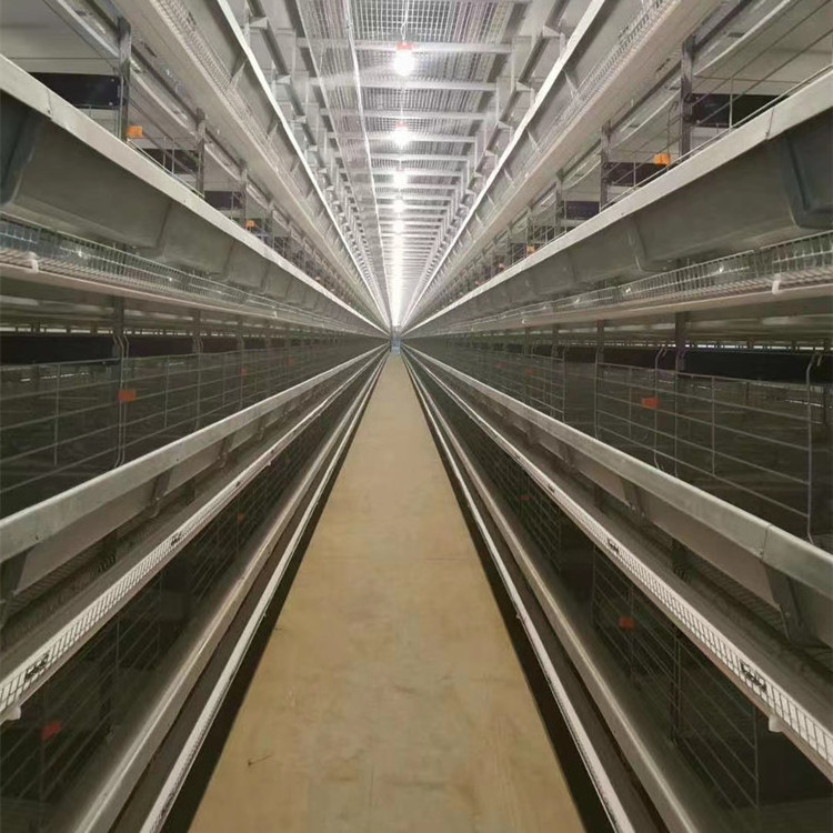 Design Automatic Battery Egg Chicken Layer Cage Battery Cages for Ghana Farm