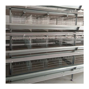 Hot Dip Galvanized Laying Hens 5000 Birds a Frame Multi Tiers Egg Layer Chicken Cage Multifunctional Provided Chicken Coop