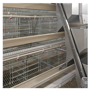 A type Galvanized Welded Wire Mesh Egg Layer Chicken Battery cage Used For Hens Poultry Farm