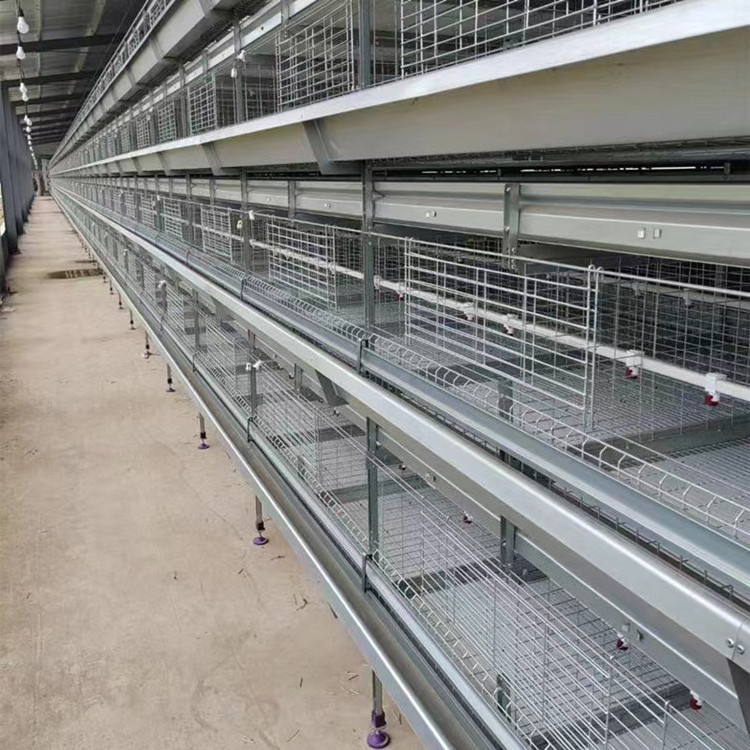 Modern Design Chicken Farm Automatic Battery Day Old Baby Brooder Chick Cage Multifunctional Provided Chicken Cage for Sale