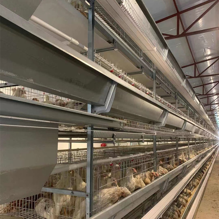 Design Automatic Battery Egg Chicken Layer Cage Battery Cages for Ghana Farm