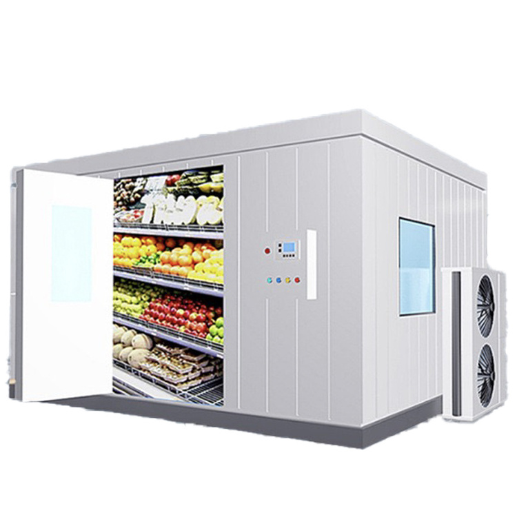 Fruits and Vegetables Cold Room Mobile Freezer Rooms Group Insulation Materials Solar Powered  Frozen Storage