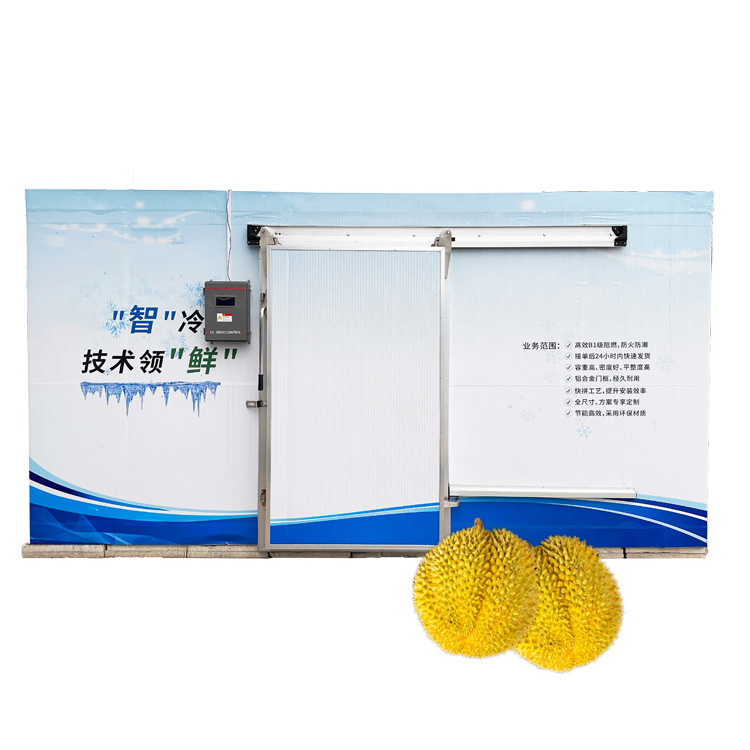 Hight Quality cold room for chicken chiller room meat storage freezer cold room