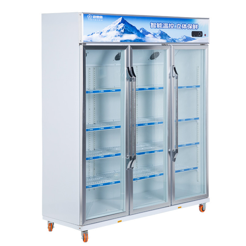 LC-1188 Snowsea factory outlet freezer vegetable Upright fridge in  eatery