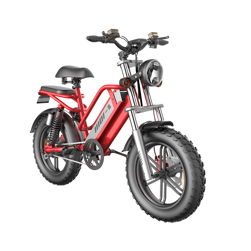 20 inch Electric Bike Fat Tire Electric Bicycle Ebike Electric Mountain Bike 1500w