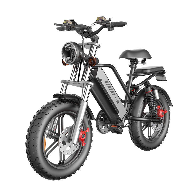 20 inch Electric Bike Fat Tire Electric Bicycle Ebike Electric Mountain Bike 1500w