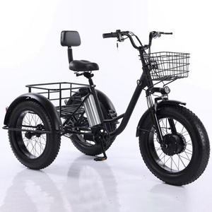 350W Lithium Battery 20*4 Inch Fat Tire 3 Wheel Electric Tricycle With Basket 3 Wheel Electric Cargo Bike