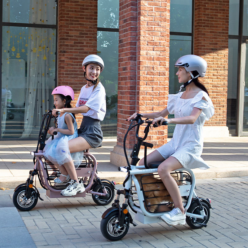 YIDI pet outing electric scooter 500w motor 	electrically bicycle electric bike with dog carrier