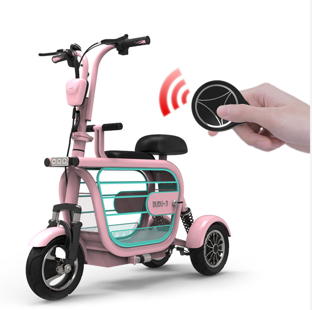 High Speed 10 Inch Tires 48V 400W 15Ah Battery Pet Dog Electric Scooter 3 Wheels Electric Moped With Pet Carrier