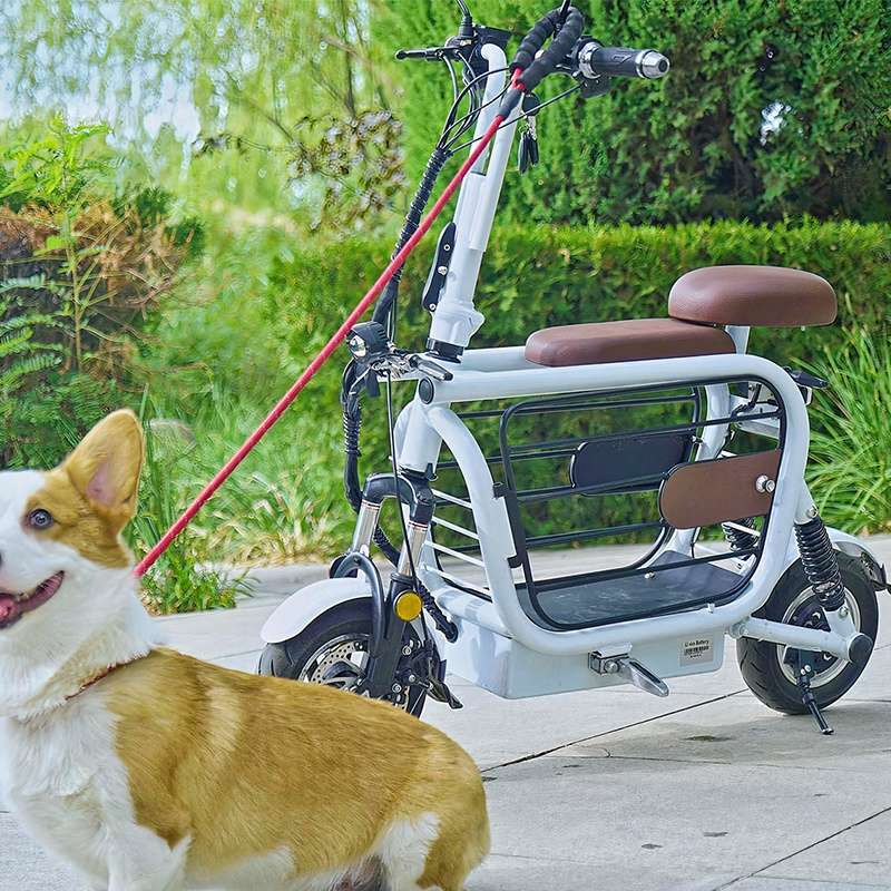 Friendly Pet Scooter 500w Motor Good Selling Ebike Electric Bike With Dog Carrier