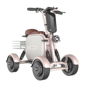 500W 1000W Motor Pet Scooter 4 Wheel Outing Electric Scooter ElectricTricycle Bike With Dog Carrier