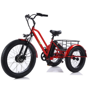 Steel Motor Frame Power Battery Style Max Set Dutch 3 Wheel Coffee Bike Trailers Tricycle Electric Cargo Bike