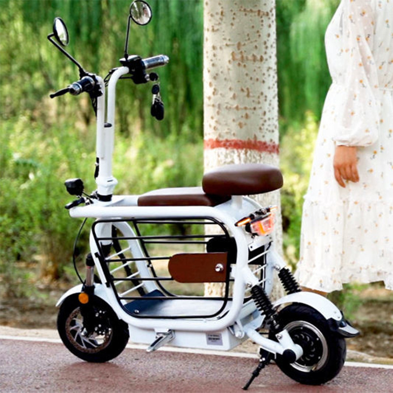 Friendly Pet Scooter 500w Motor Good Selling Ebike Electric Bike With Dog Carrier