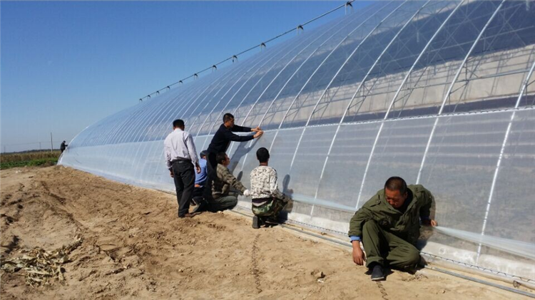 900 Square Meter in Stock Low Cost single span tunnel vegetable greenhouse green house used for sale