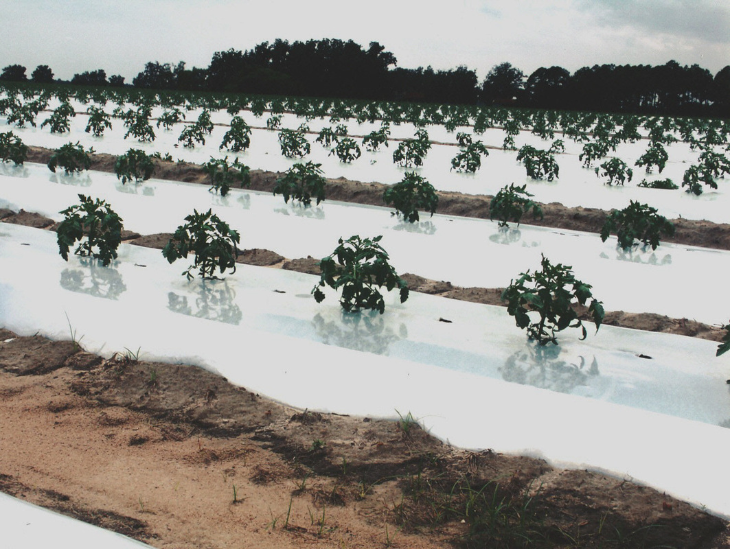 Waterproof Light-blocking 150 microns LDPE Black and White film for Grow Room, Greenhouse, Silage