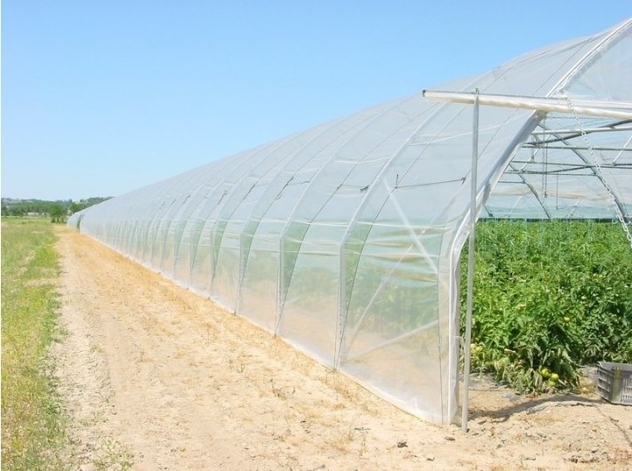 900 Square Meter in Stock Low Cost single span tunnel vegetable greenhouse green house used for sale