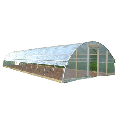 900 Square Meter in Stock Low Cost single span tunnel vegetable greenhouse green house used for sale