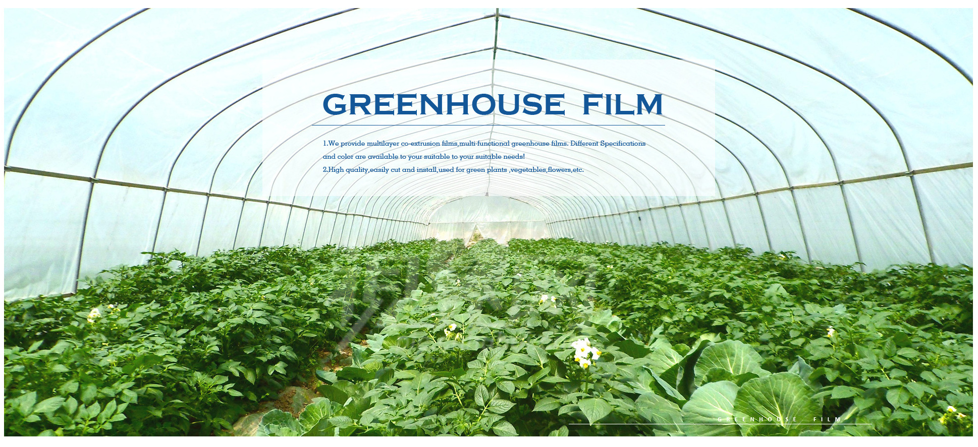 Hot sale in Thailand 3 years uv resistant greenhouse film, 8 mil transparent pe greenhouse film roll with factory price