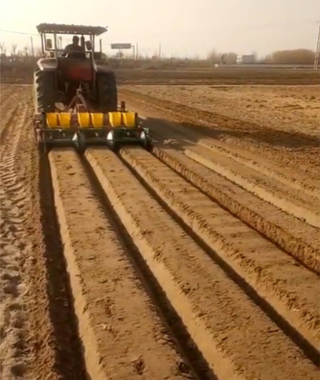 Ginger Seeder/ Planting Ginger Machine/ Potato Ginger Planter