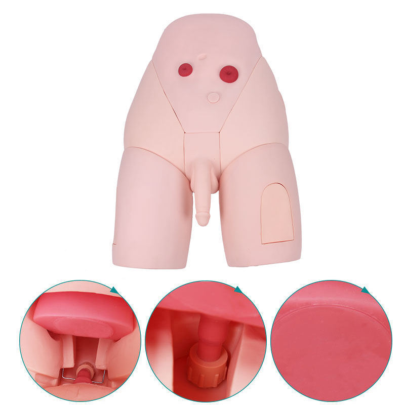 Human anatomical Manikins Nursing Training Evaluation Simulator Man Catheterization Model for Teaching Use