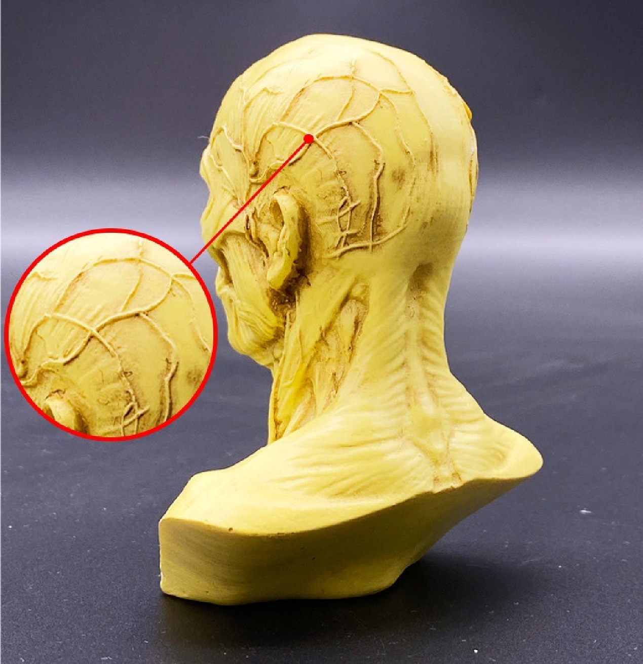 product Resin human skulls drawing decoration for halloween table decoration simulated skulls for home decor