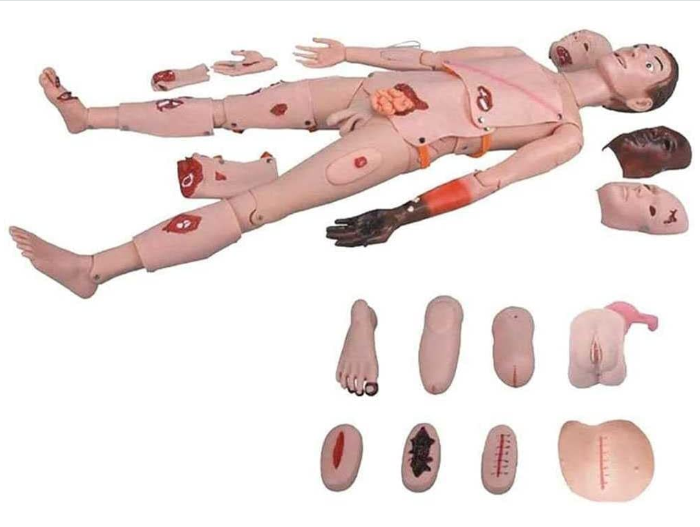 medical science Human Anatomical Model First Aid Trauma Nursing Manikin Patient Care Simulator for Nursing Medical Training