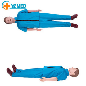 Medical teaching Model CPR Training Manikin M Pad Blue Coat 16 Kgs Medical School Bilological Medical Science 90*36*52 Cm