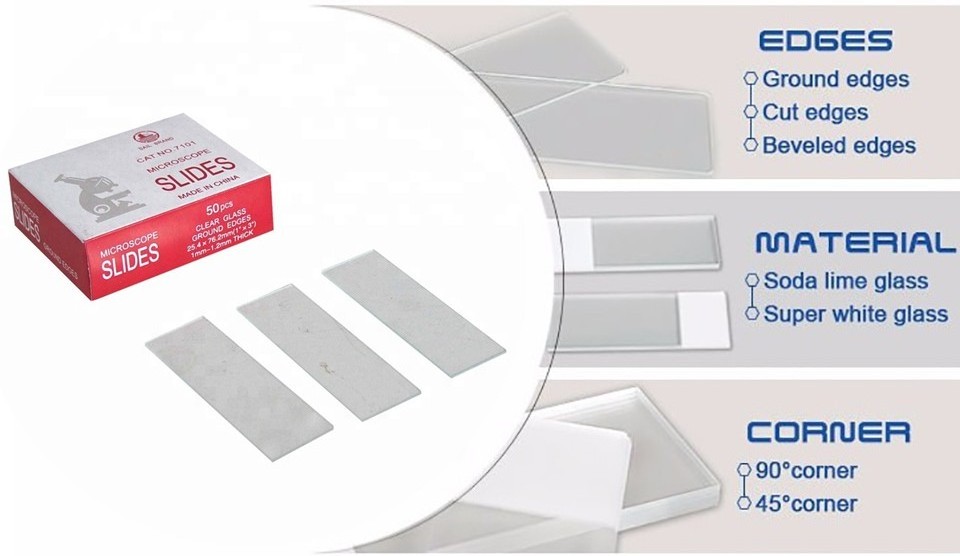 7102 glass slide cut edges lab microscope slides to make prepared slide with 50 pcs and 72 pcs/ box