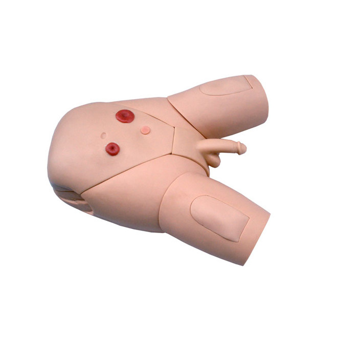 Human anatomical Manikins Nursing Training Evaluation Simulator Man Catheterization Model for Teaching Use