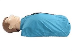 Yulin Medical Science Teaching Model First Aid Training Adult CPR Manikin Model