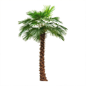 New Fashion Pasted Green Leaves Artificial Big Coconut Palm Tree artificial palm tree for outdoor