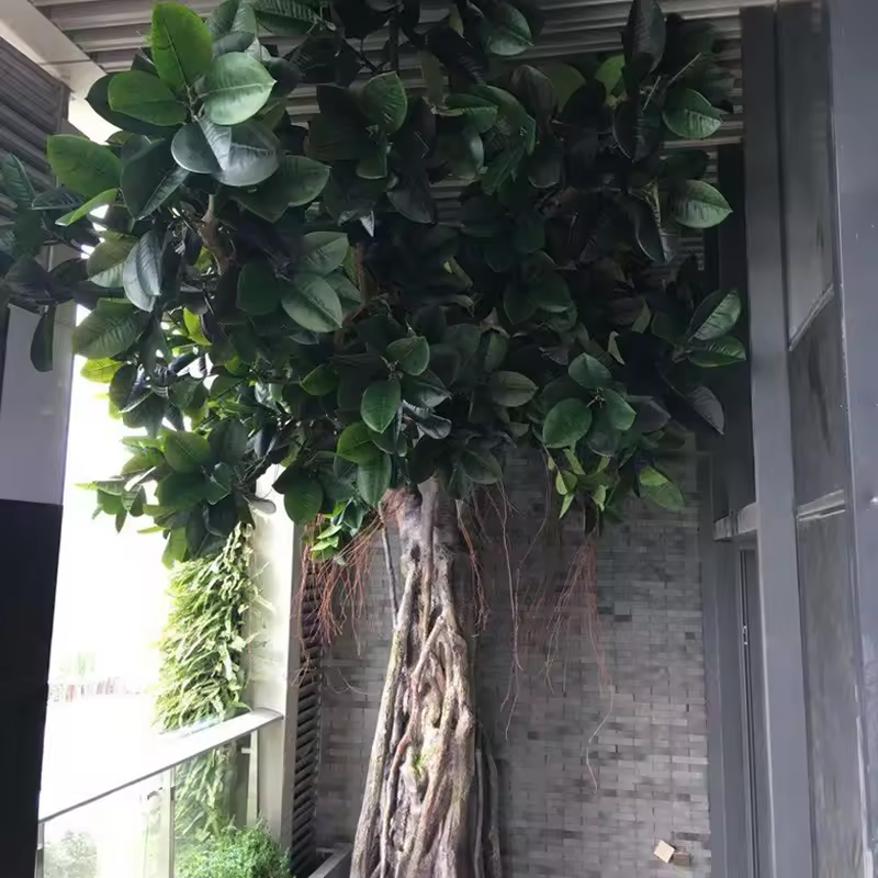 Outdoor Indoor Ficus Green Plant Tree Fiberglass Landscape Large Tall Banyan Artificial Trees