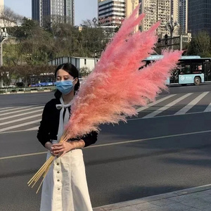 Grandes Artificial Flowers Natural Pink Black White Dried Fluffy Pampas Grass Decor Pampas Grass For Wedding Arrangement