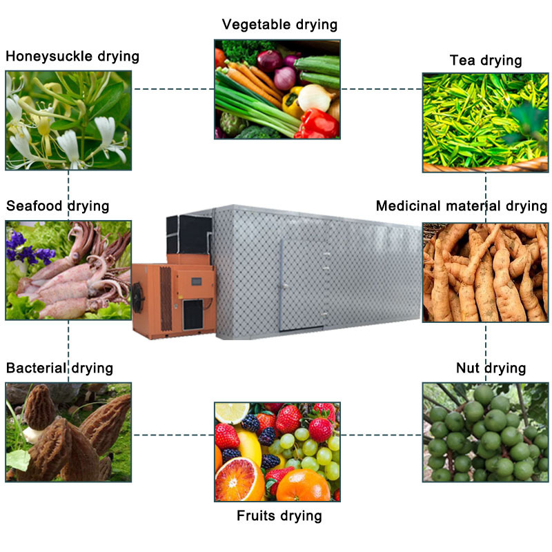 food dehydrator/vegetable fruit drying machine fruit drying/dehydrator machine ytk30 leaf fruit dryer food dehydrator industrial