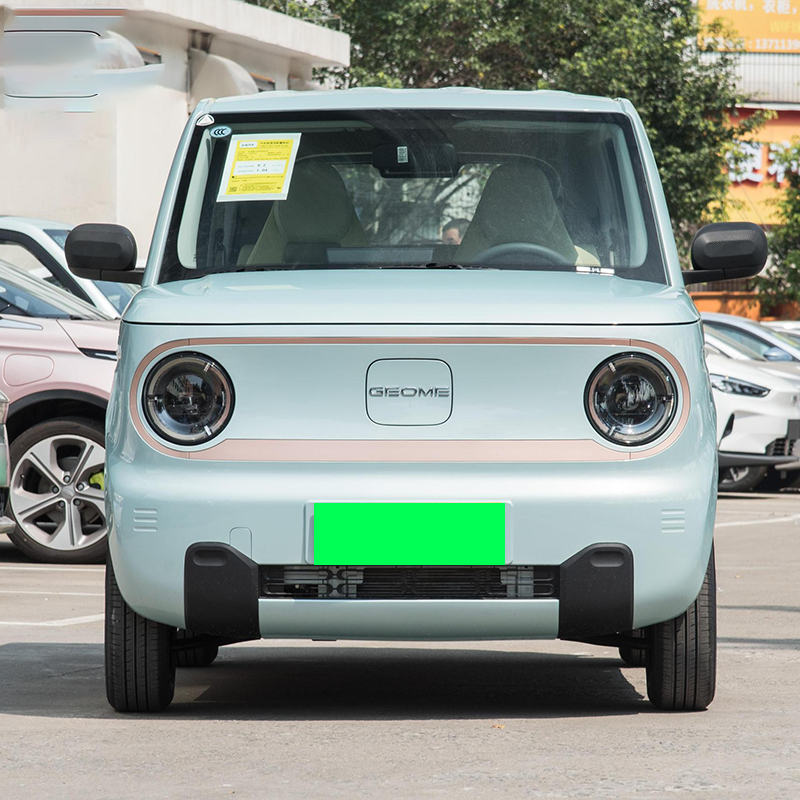 Superlieur Electric Vehicle High Performance Gelly Panda 2023 Style 120km Super Cute Bear Used Electric Mini Car