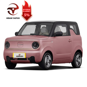 Superlieur Electric Vehicle High Performance Gelly Panda 2023 Style 120km Super Cute Bear Used Electric Mini Car