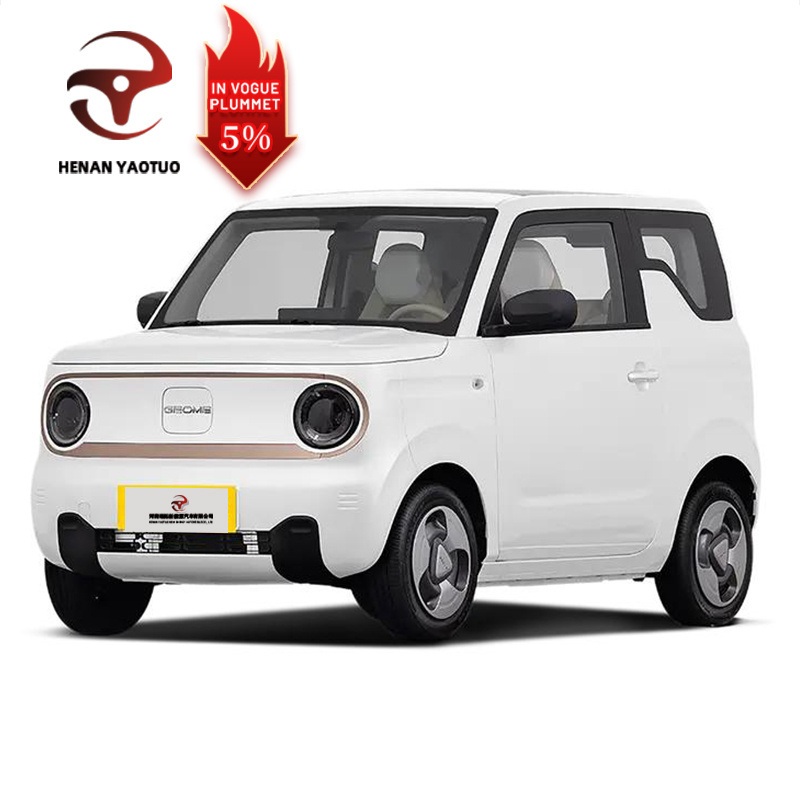 Superlieur Electric Vehicle High Performance Gelly Panda 2023 Style 120km Super Cute Bear Used Electric Mini Car