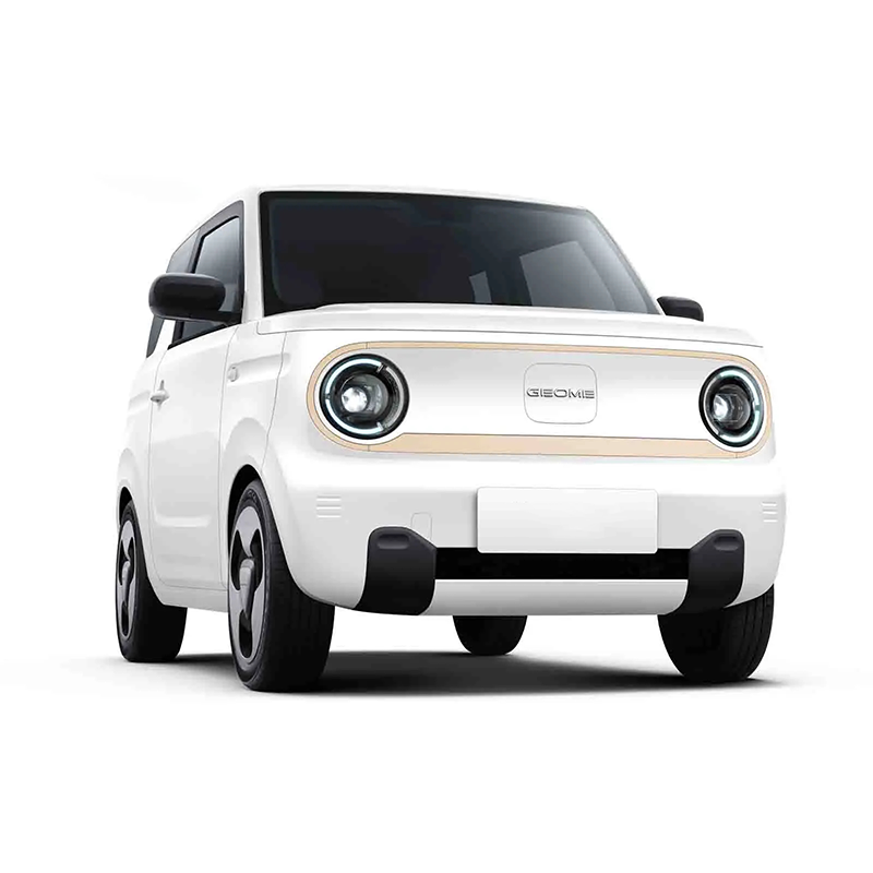 Superlieur Electric Vehicle High Performance Gelly Panda 2023 Style 120km Super Cute Bear Used Electric Mini Car