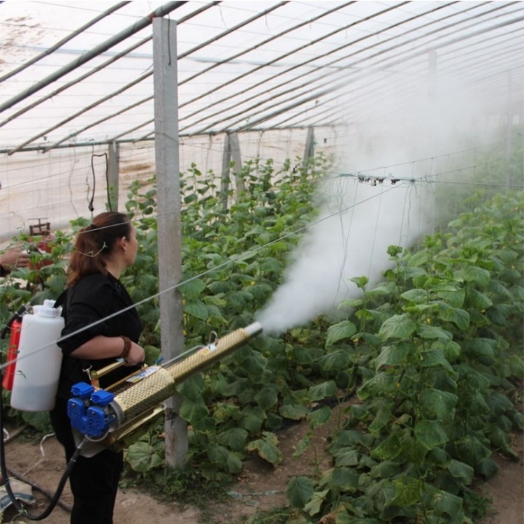 Powered Agricultural Sprayer Fruit Tree Mosquito Pest Control Fogger Cannon Machine