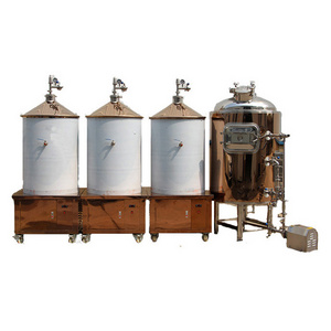 100 l nano brewery 50l microbrewery equipment automatic making beer brewing machine