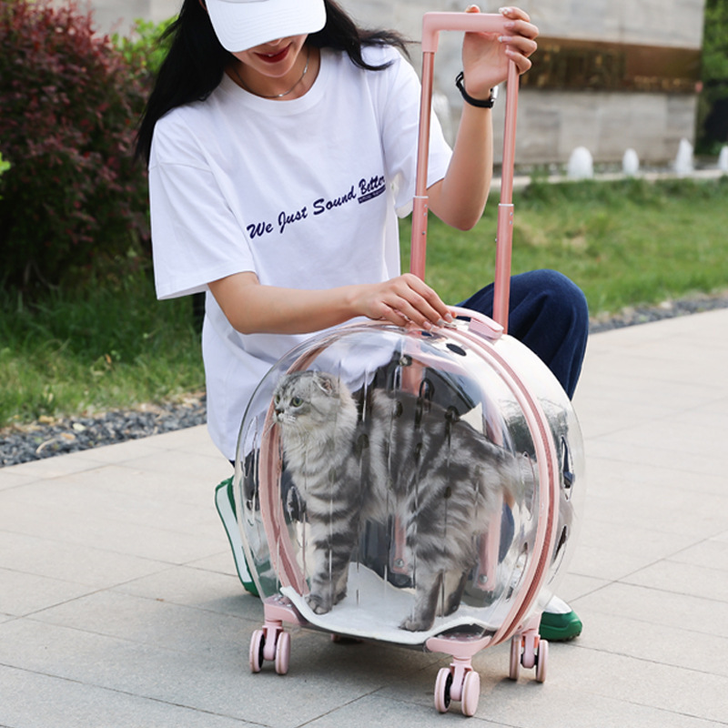 Fashion Pink Portable Clear View Trolley Dog Cat House Travel Backpack Pet Carrier