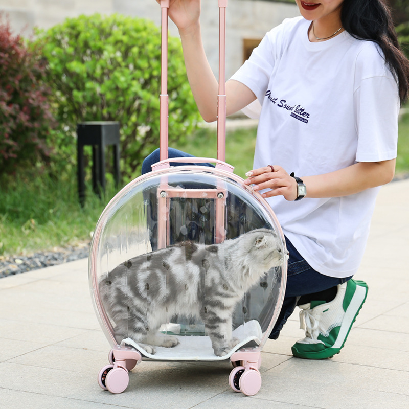 Fashion Pink Portable Clear View Trolley Dog Cat House Travel Backpack Pet Carrier