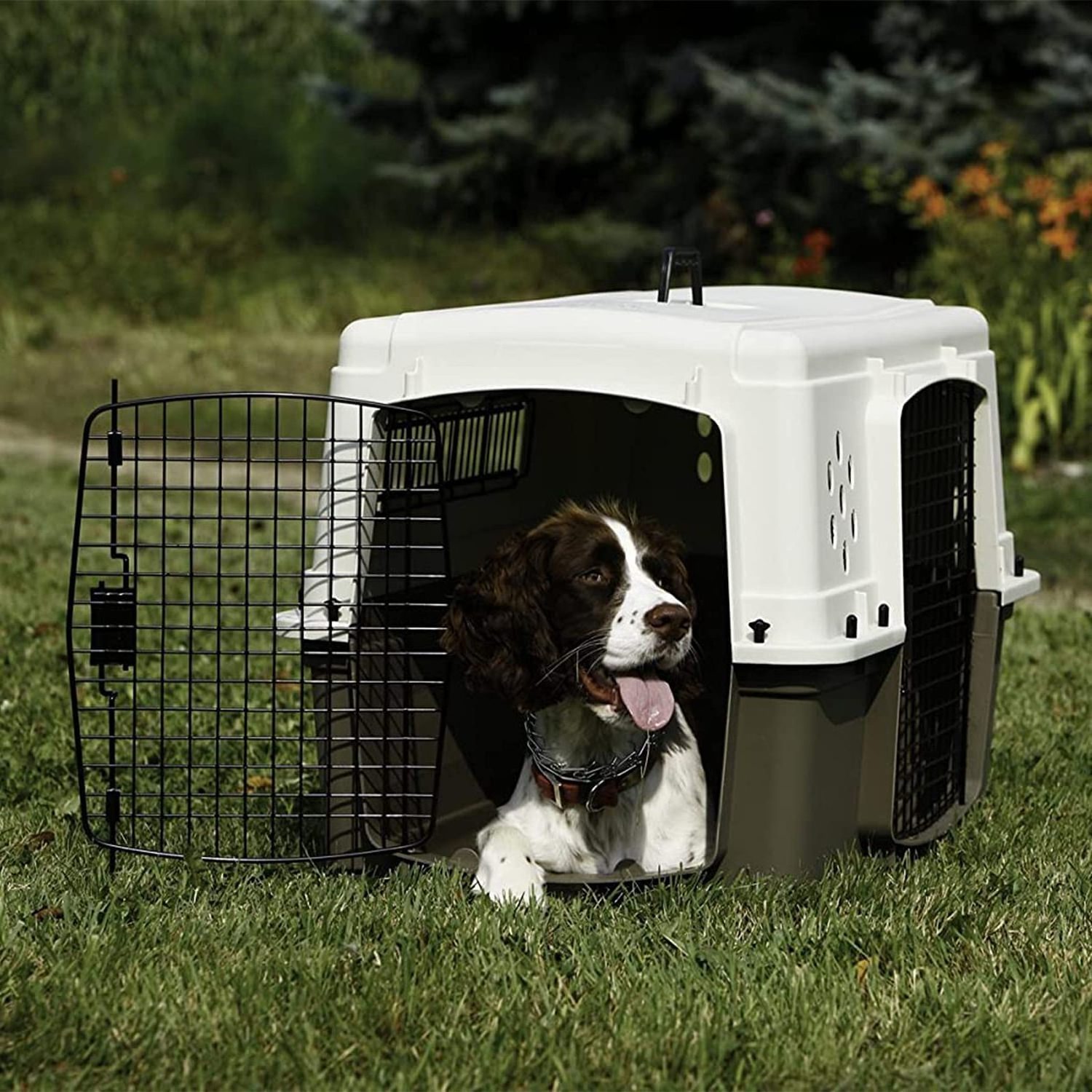 Factory Supply IATA Approved Dog Cat Aviation Cage Foldable Stackable Transport Pet Crate