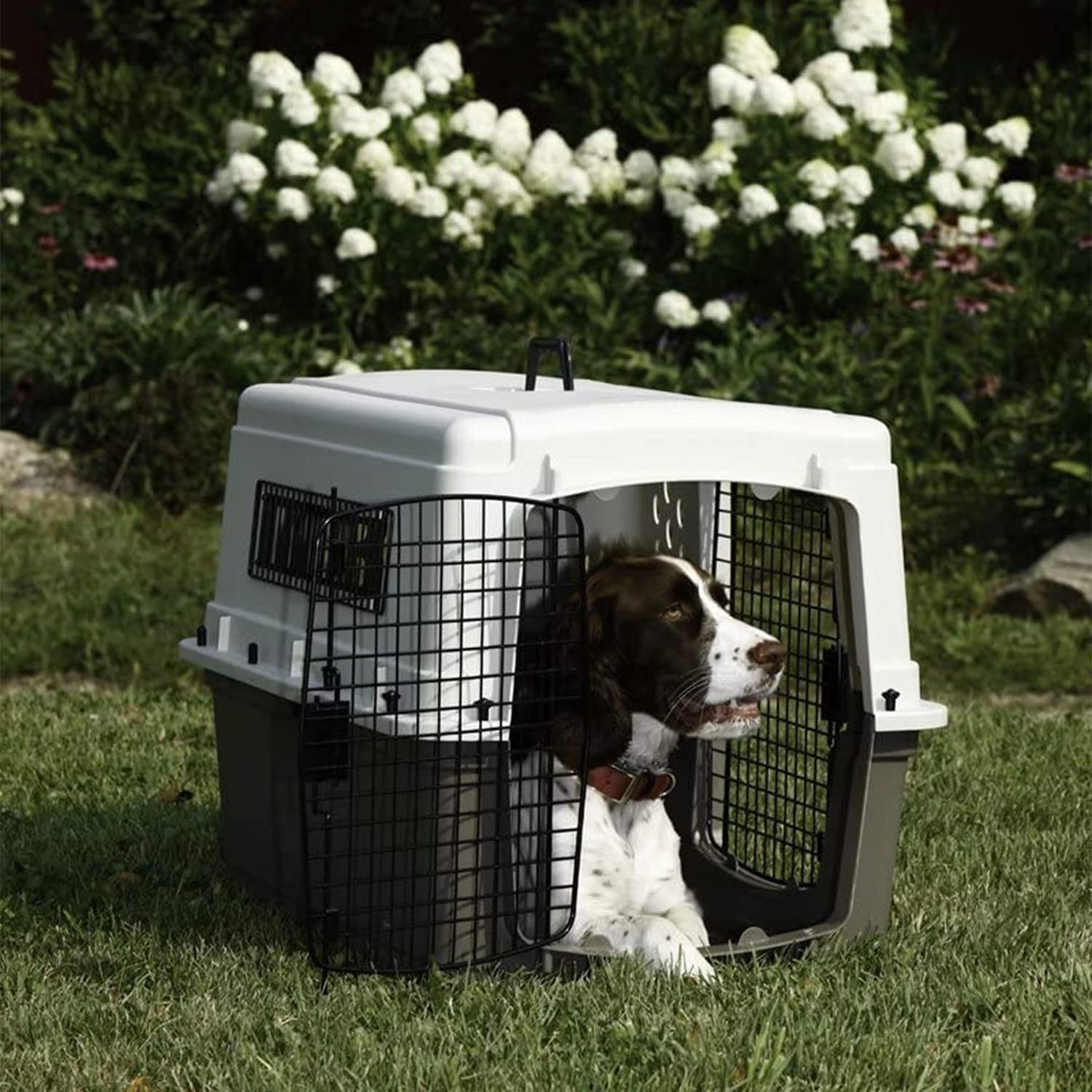 Factory Supply IATA Approved Dog Cat Aviation Cage Foldable Stackable Transport Pet Crate