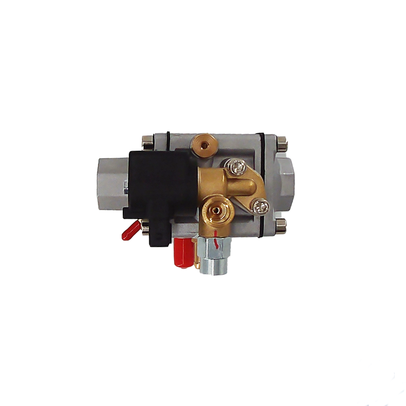 CNG TR01 cng reducer for CNG conversion equipment gas fuel injection system kit gnv low pressure lpg gas regulator