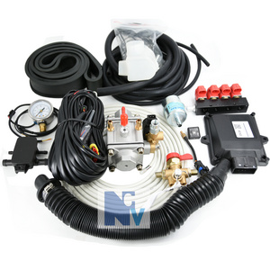 HN48 Lpg Conversion Kit  complete cng kit for 2/3/4/6/8 cylinder gas engine cng car conversation from petrol to gas