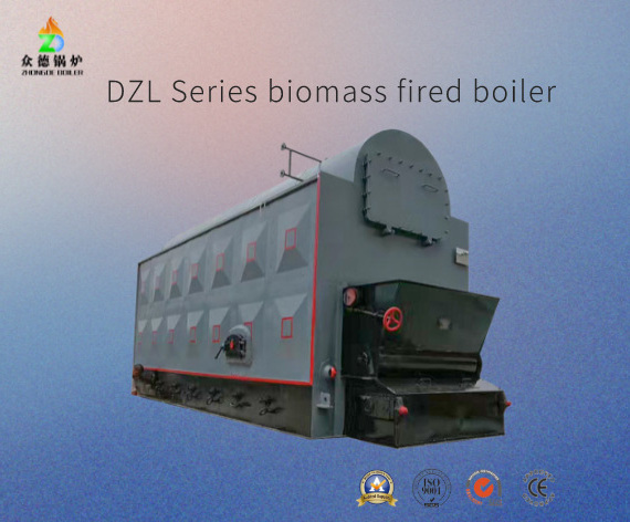 DZL Series Easy Operation Chain/Fixed Grate Industrial Coal Wood Bagasse Biomass Fired Steam Boiler