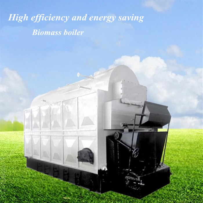 DZL Series Biomass Steam Boiler Hot WATER Boiler Mechanized Feeding